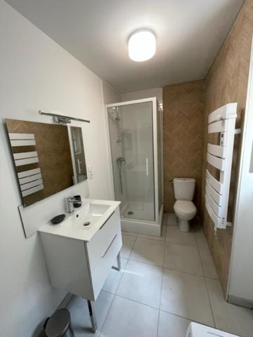 Appartement Climatise Avec Cour En Centre Ville Карпантра Екстер'єр фото